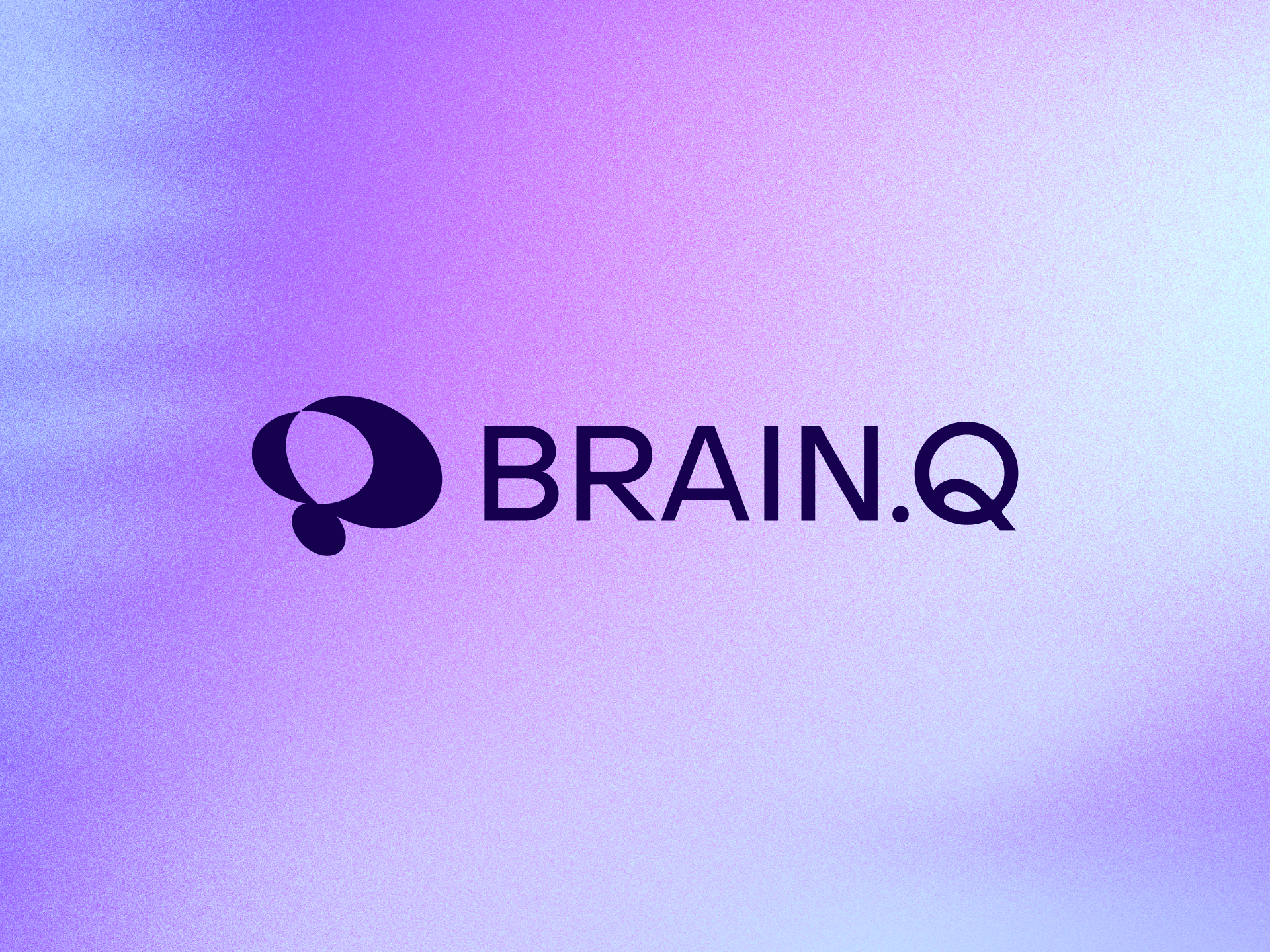 BrainQ-1